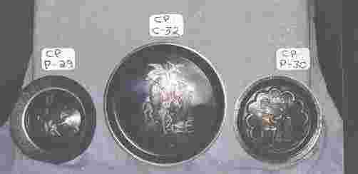 cp005.jpg (20498 bytes)